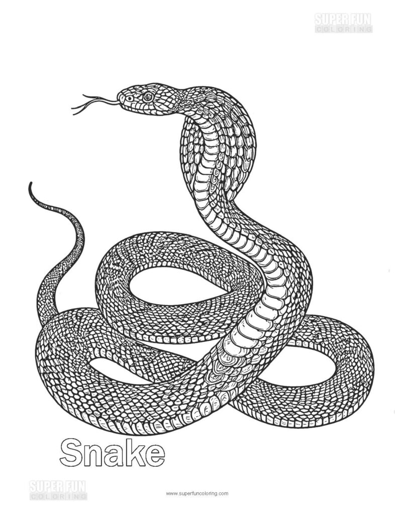 Super Fun Coloring | Snake Coloring Page