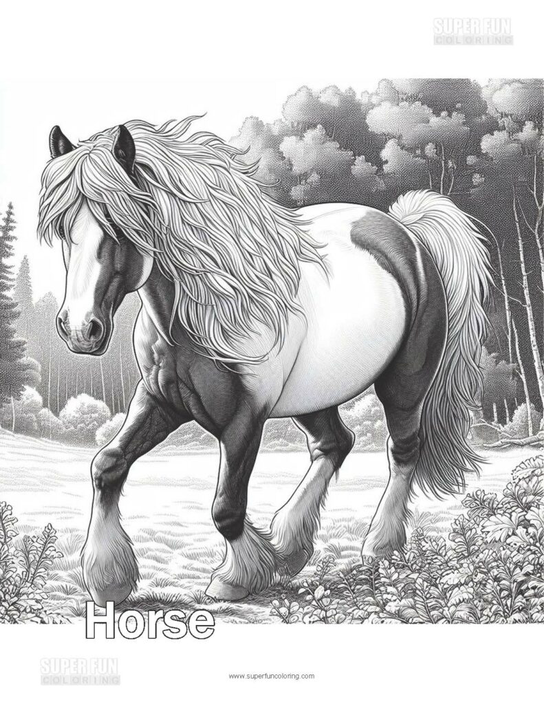Super Fun Coloring | Horse Coloring Page